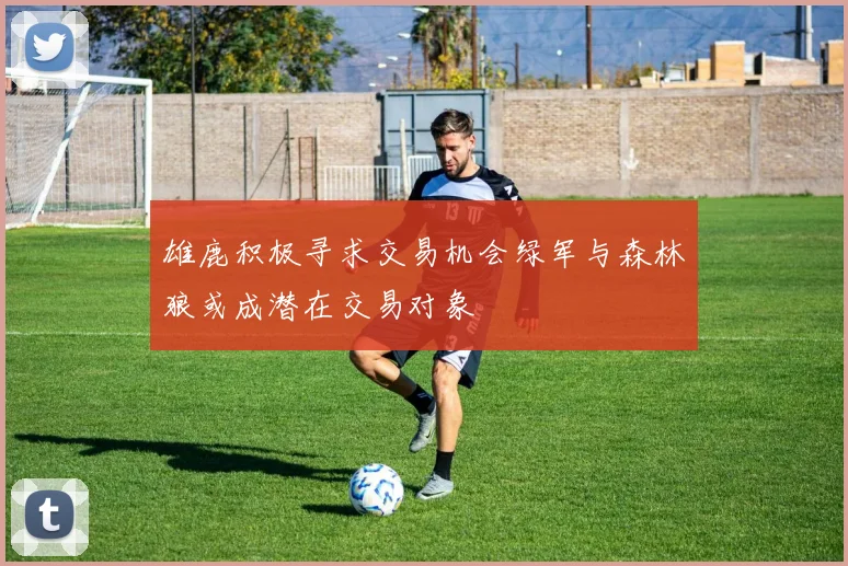 雄鹿积极寻求交易机会绿军与森林狼或成潜在交易对象